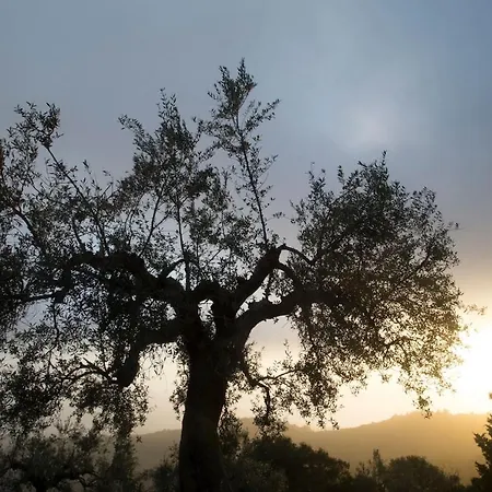 Nyaraló Quiet Country House With Amazing View