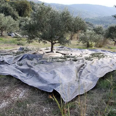 Nyaraló Quiet Country House With Amazing View
