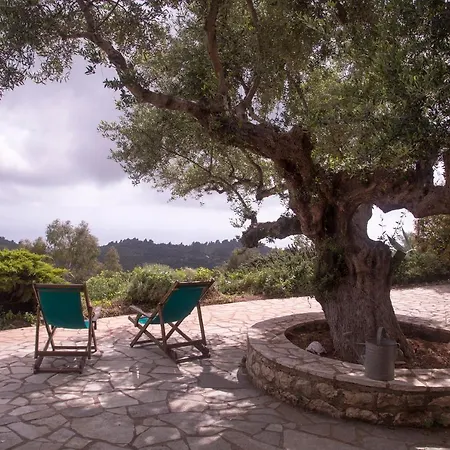 Holiday home Quiet Country House With Amazing View Kyparissia